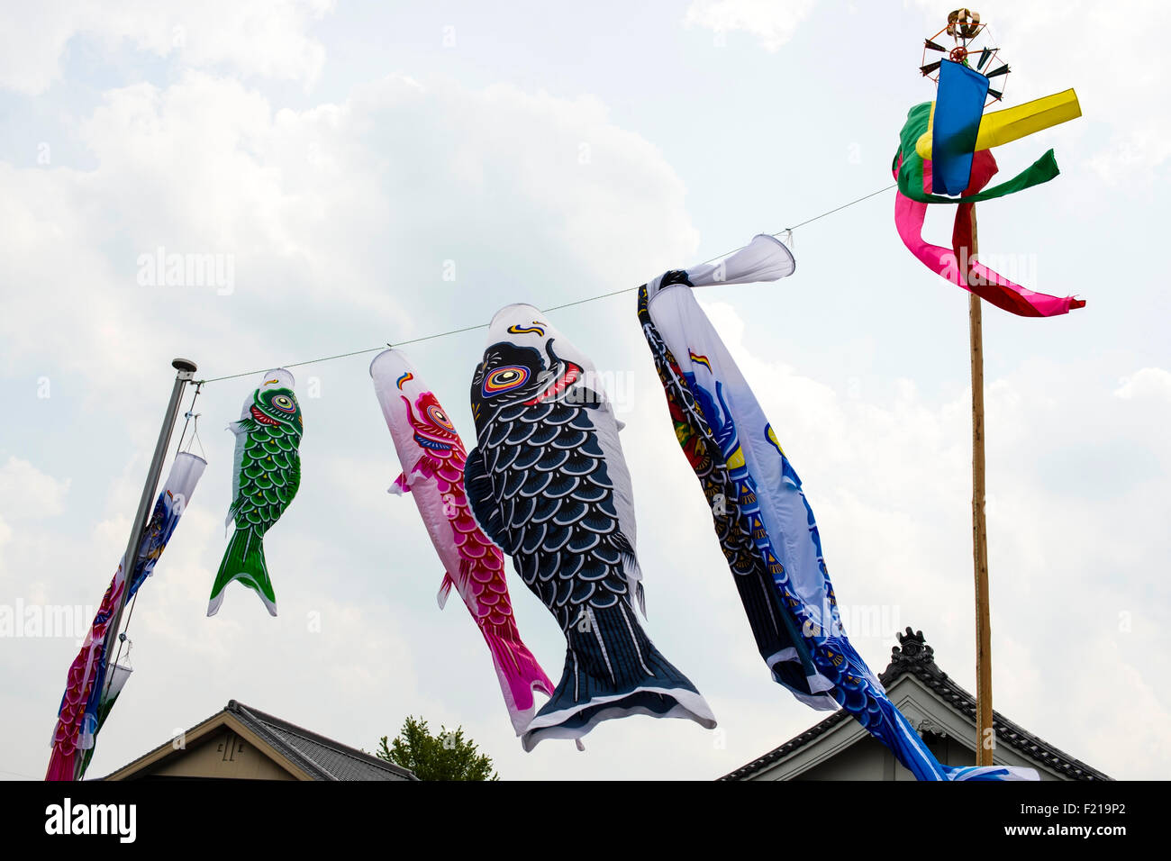 Koinobori Stockfoto