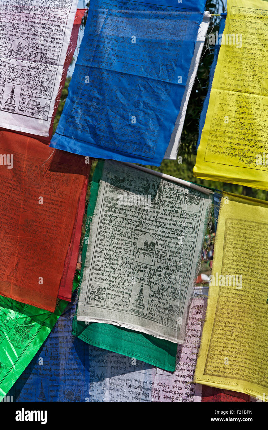 Indien, Bihar, Bodhgaya, buddhistische Gebetsfahnen auf dem Gelände des Mahabodhi-Tempel. Stockfoto