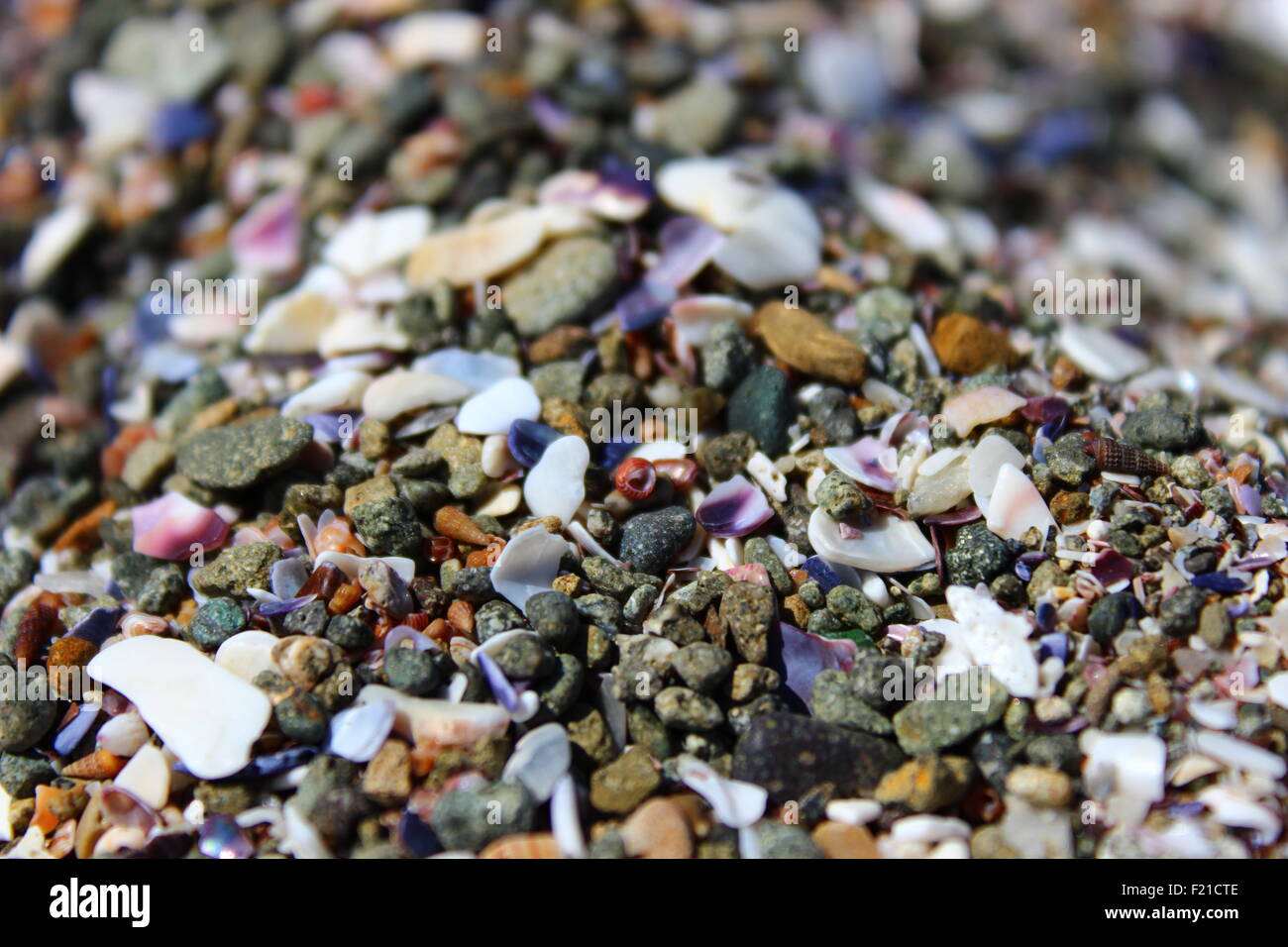 Die kleine Welt der Sandkörner Stockfoto