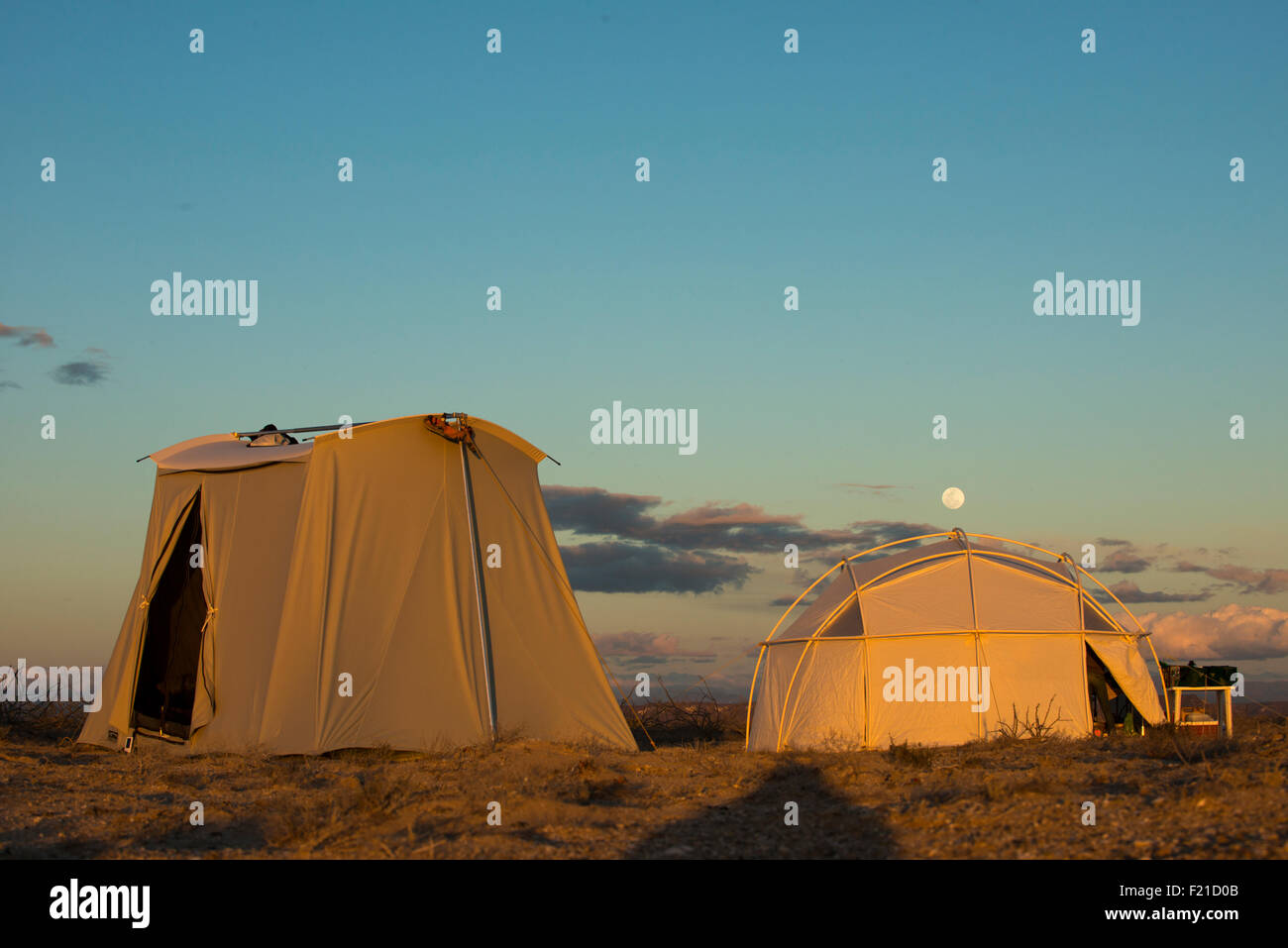 Mexiko. Lagune von San Ignacio. Moon Rising über Zelte. Stockfoto