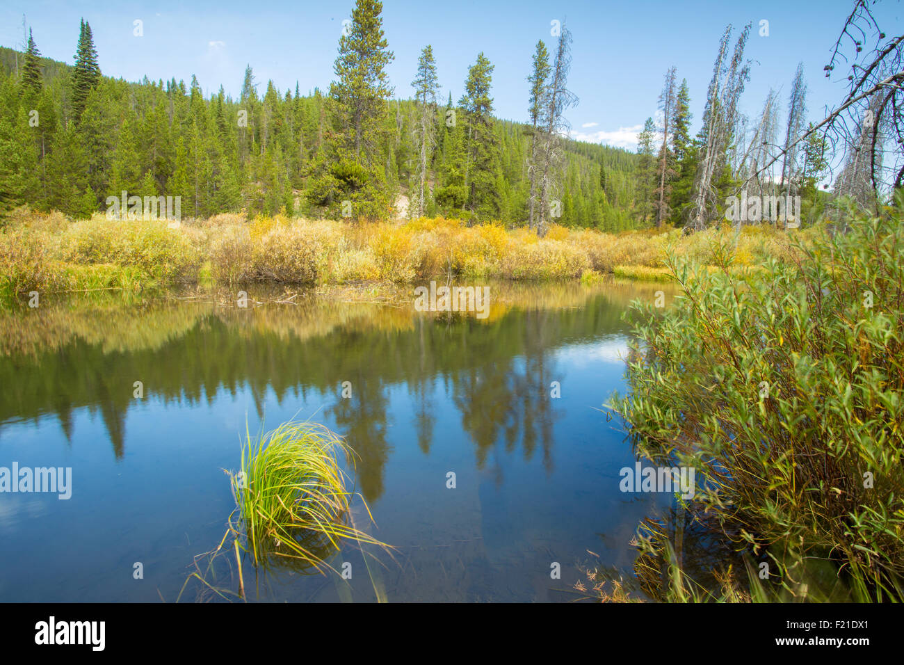 Langsam bewegende Fluss in schöner Landschaft, im Yellowstone National Park. Stockfoto