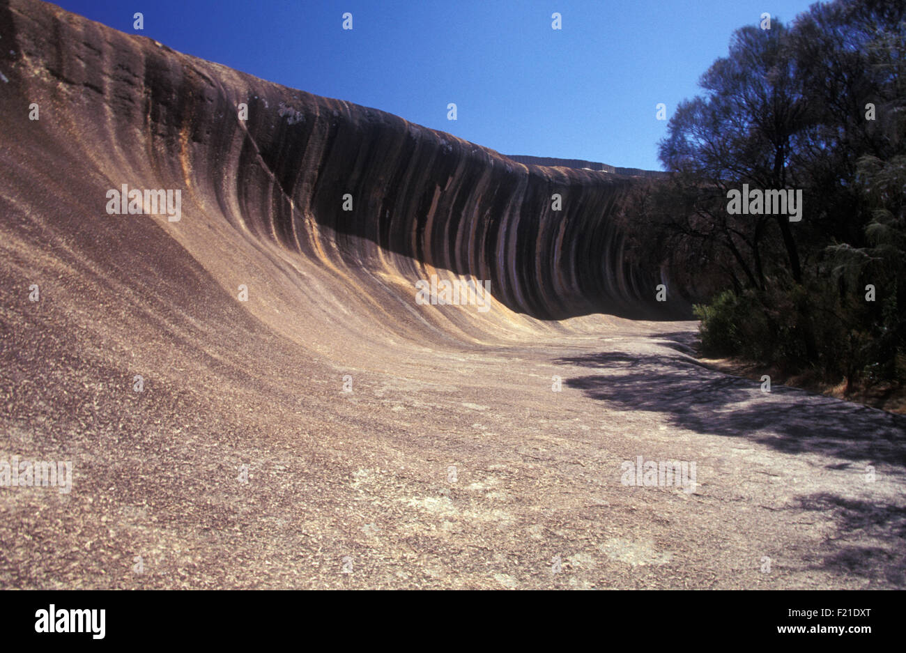 Wave Rock (auch bekannt als Hyden Rock) 296 km Ost Süd östlich von Perth, Western Australia Stockfoto