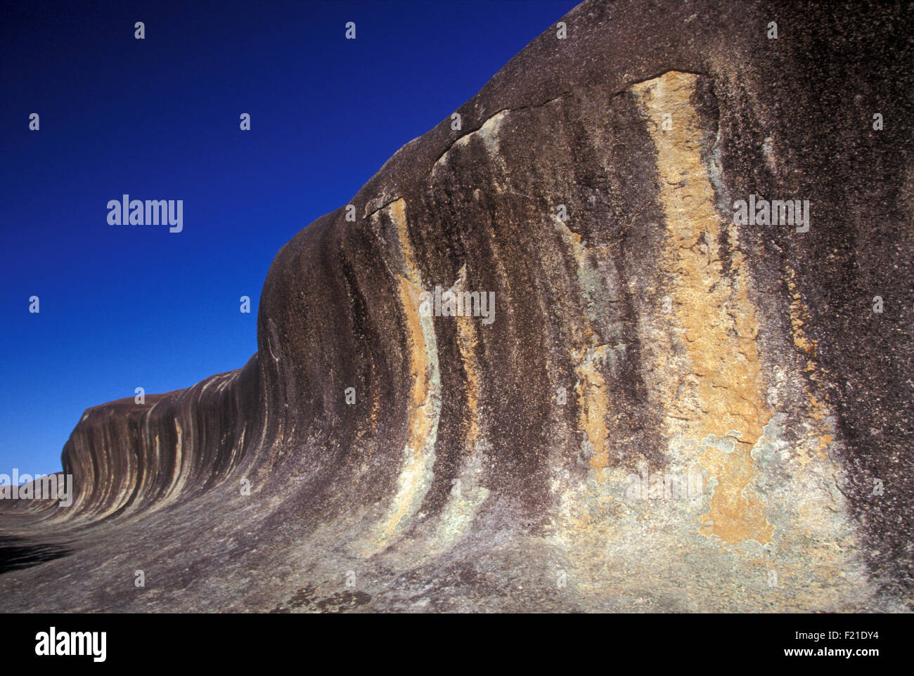 Wave Rock (auch bekannt als Hyden Rock) 296 km Ost Süd östlich von Perth, Western Australia Stockfoto