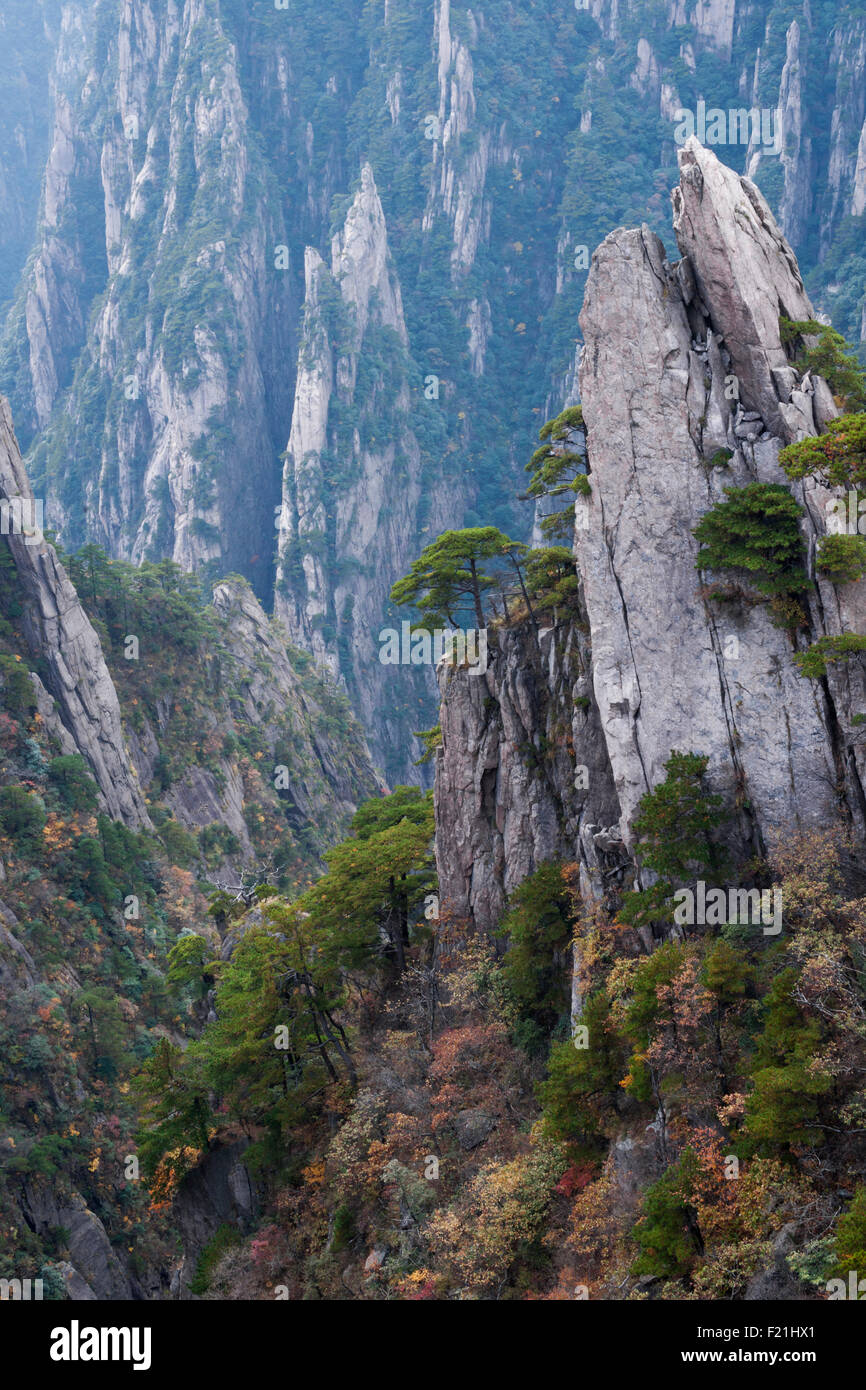 Xihai Grand Canyon im Herbst, gelben Berg, Huang Shan, UNESCO-Website, Provinz Anhui, China, Asien Stockfoto