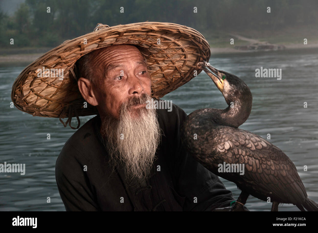 Chinesische Kormoran Fischer mit einem langen Bart Uhren seinen Vogel picken seinem Bambus Hut, Li-Fluss, Xingping, China, Asien Stockfoto