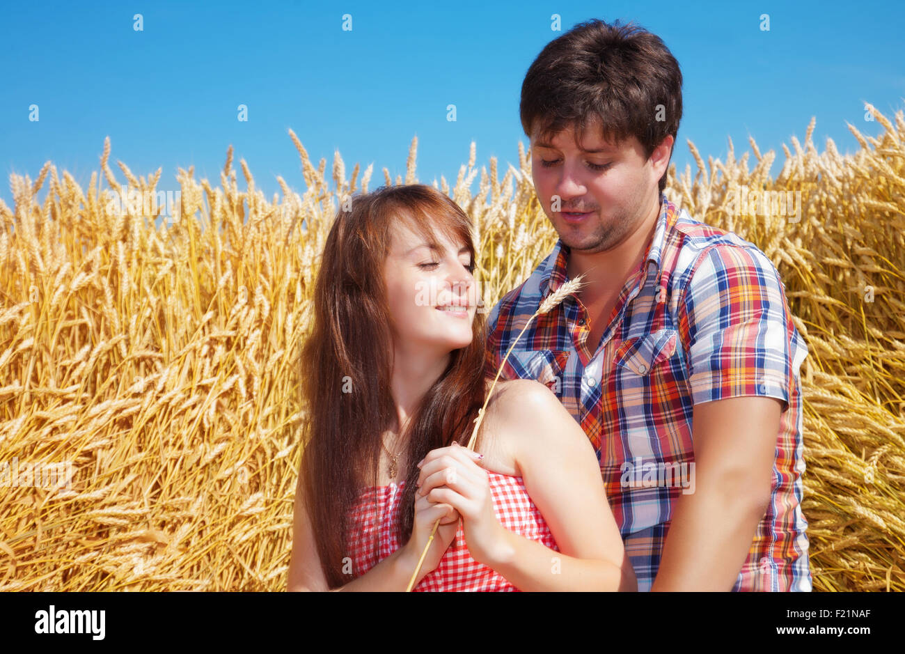 Porträt eines jungen Paares auf dem Hintergrund von einem Weizenfeld an einem sonnigen Tag Stockfoto