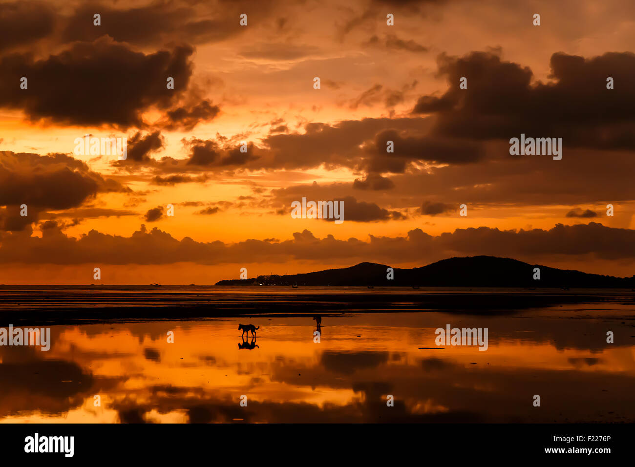 Atmosphäre bei Sonnenaufgang am Strand Stockfoto