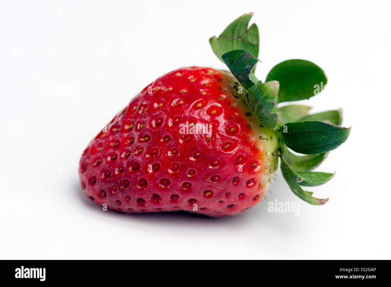 Erdbeere Isoliert Auf Weißem Hintergrund Stockfoto