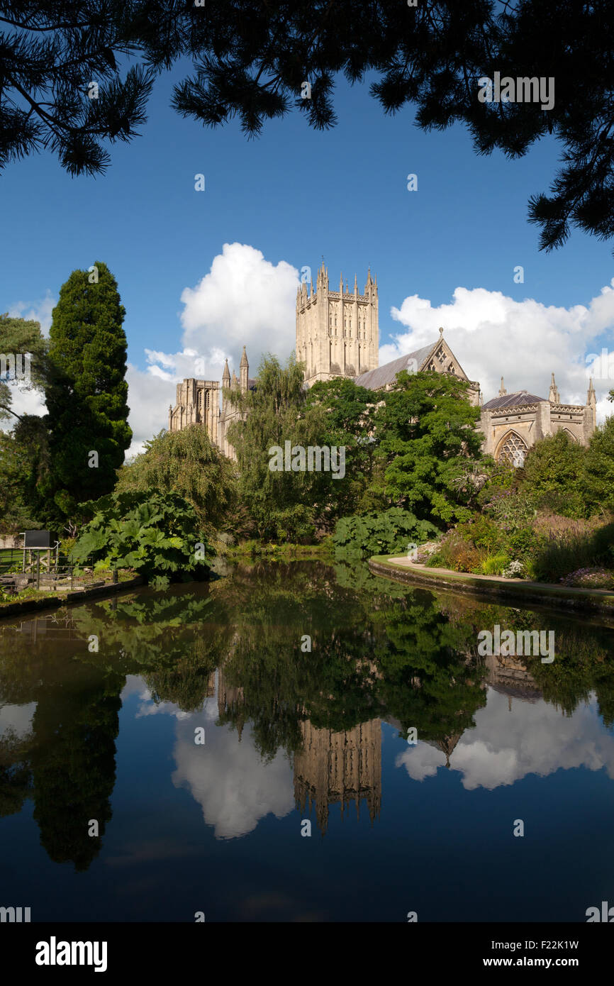 Wells Cathedral, 12. Jahrhundert mittelalterliche Gebäude, gesehen von den Pools gut im Schlossgarten Bischöfe Wells Somerset England UK Stockfoto