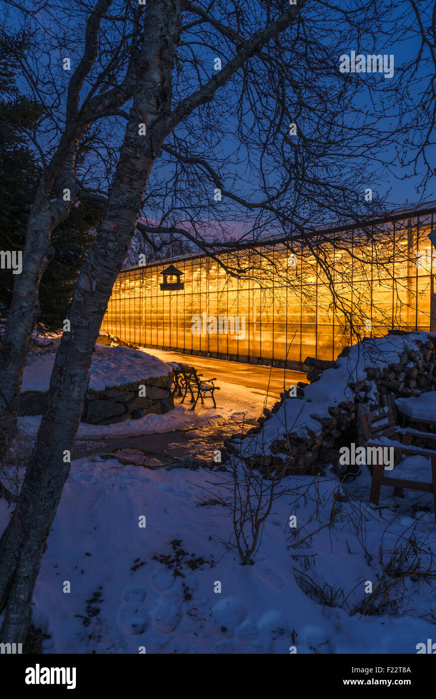 Geothermal beheizten Gewächshaus im Winter Island Stockfoto