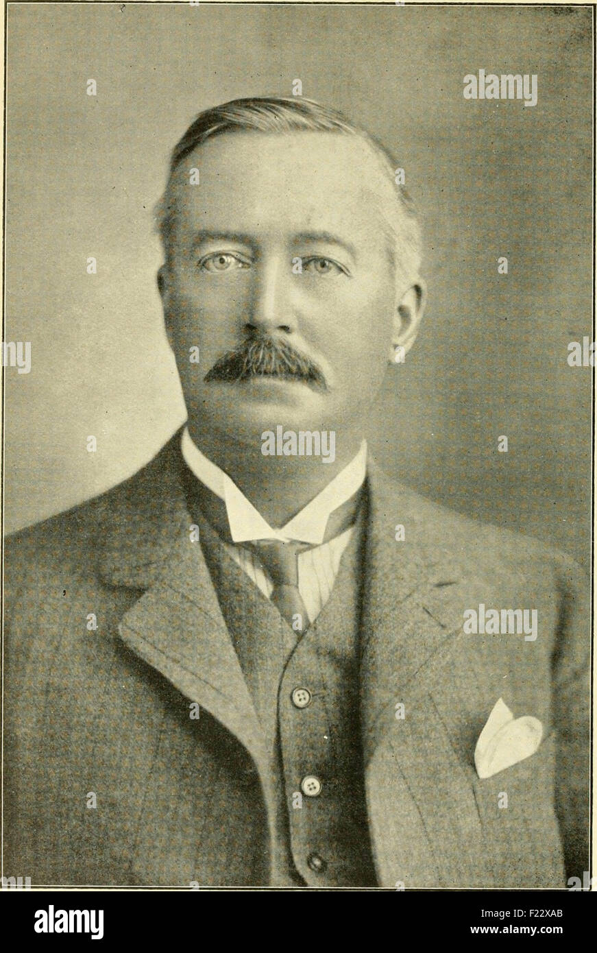 Der Wirtschafts-und Währungsunion: offizielles Organ der Australasian Ornithologists Union Stockfoto