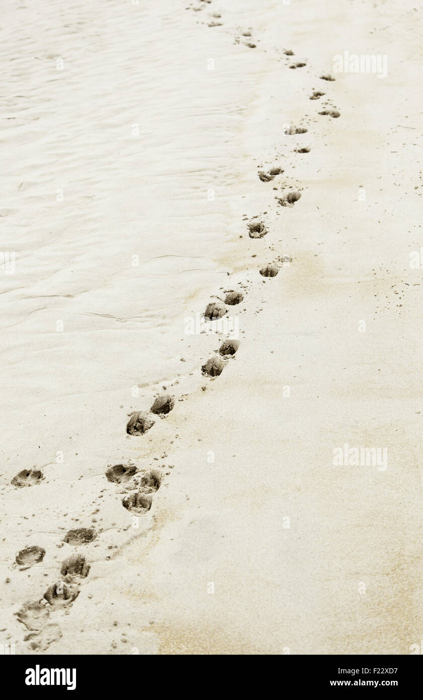 Fußspuren im Sand am Strand, Detail der Fußabdrücke, Meer ...