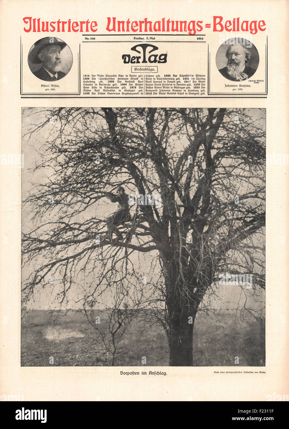 1915 der Tag Deutscher Scharfschütze in einem Baum Stockfoto