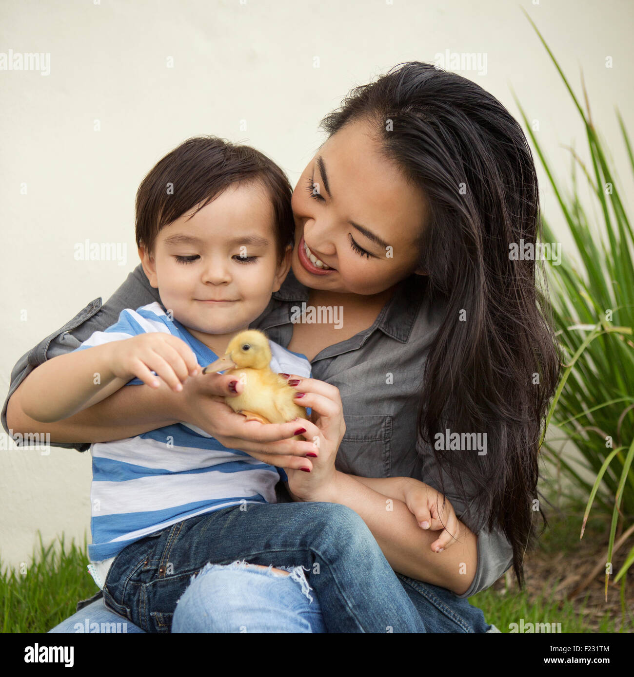 Lächelnde Frau hält eine gelbe Entlein in ihren Händen, ihrem kleinen Sohn beobachten. Stockfoto