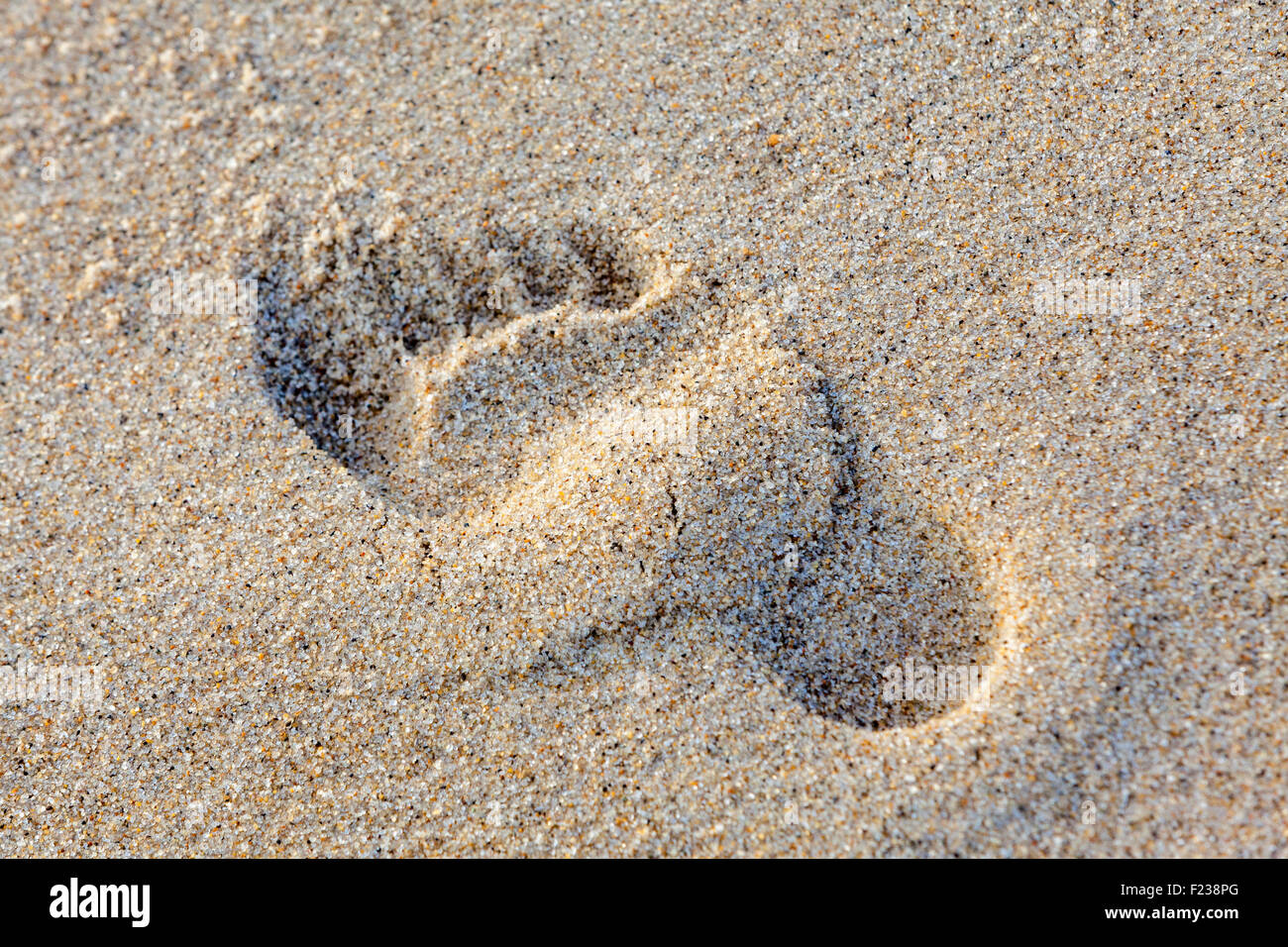 Fussspuren sand -Fotos und -Bildmaterial in hoher Auflösung – Alamy