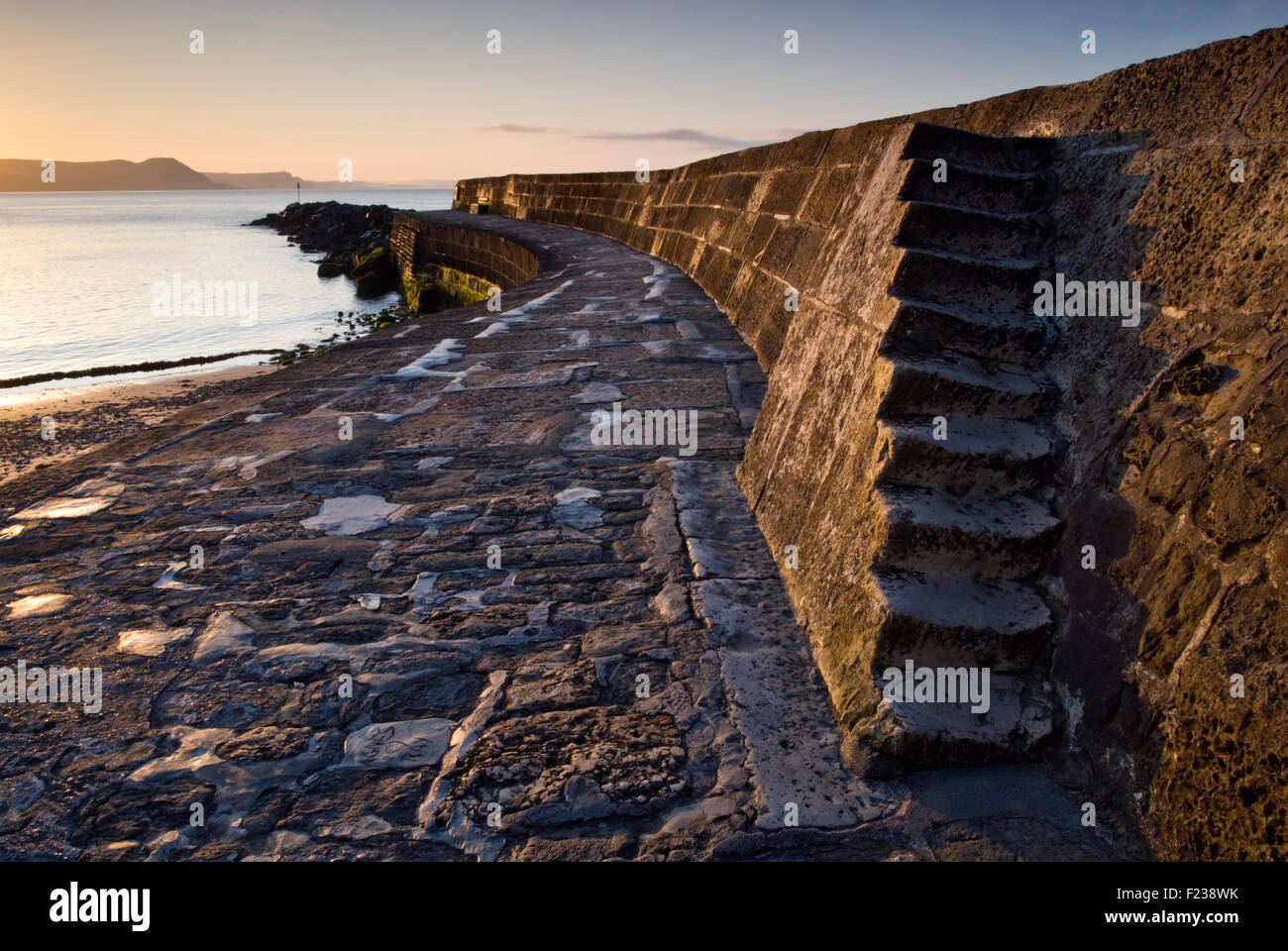 Der Cobb-Hafen Wand in Lyme Regis in Dorset Jurassic Coast, England, UK Stockfoto