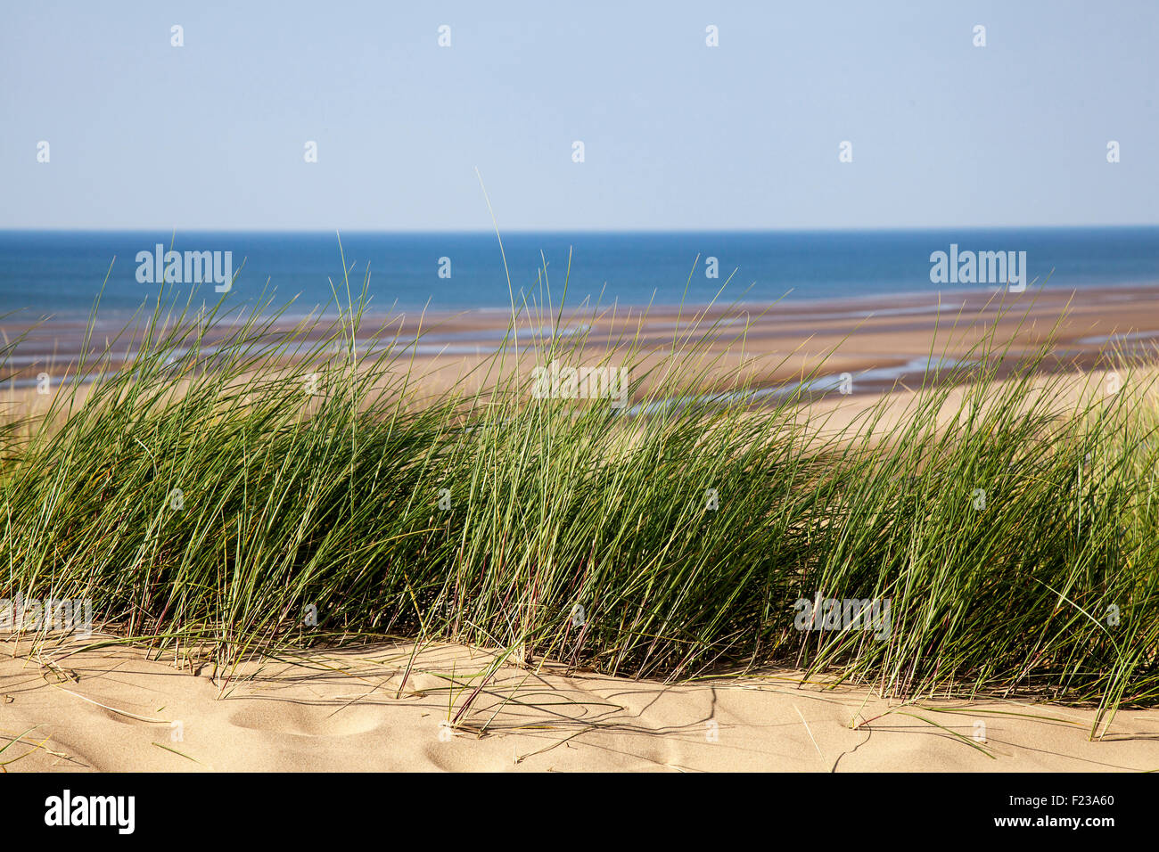 Erodierte Sanddüne in Southport; Natur, Strand, Himmel, Meer, Sommer, blauer Himmel, Küste, Fußabdrücke und Spuren, Marram-Grasvegetation an der Küste, Merseyside UK Stockfoto