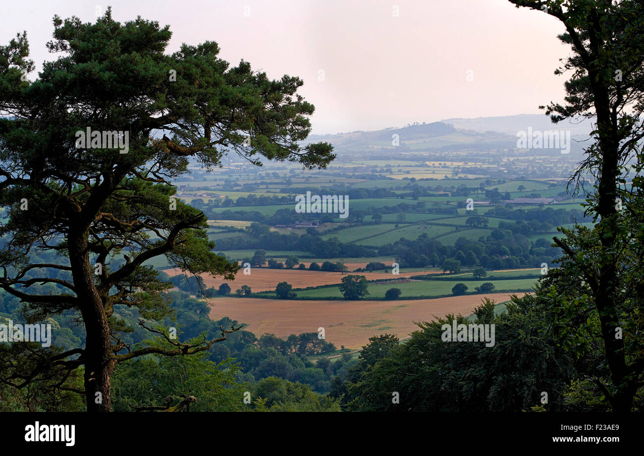 Blick auf Landschaft aus Lewesdon Hügel, in der Nähe von Bridport, Dorset, England Stockfoto