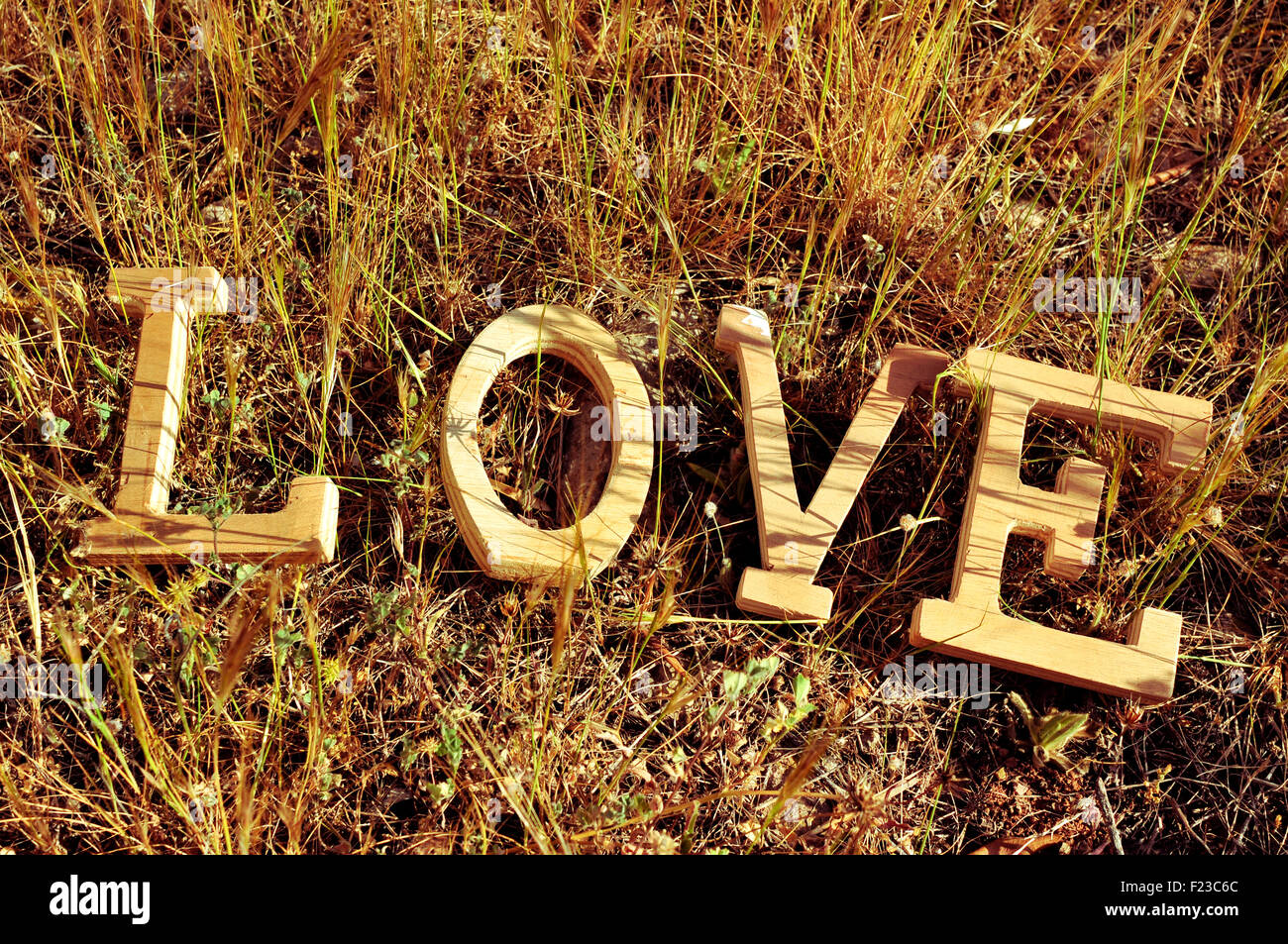 High-Angle Shot von hölzernen Buchstaben bilden das Wort Liebe auf dem Rasen Stockfoto