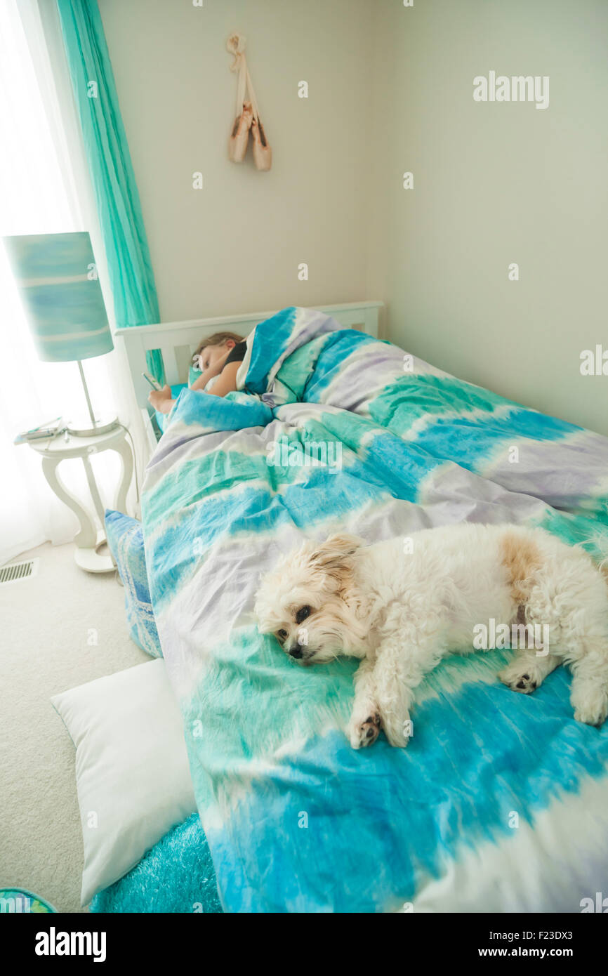 Junge Teenager kaukasische Mädchen mit ihrem Iphone im Bett, bevor sie am Morgen mit ihr kleine weißen Hund liegend aufsteht Stockfoto