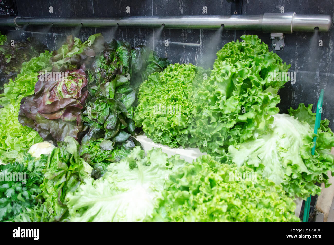 Grüner Salat auf einem Display mit Wasserspray Stockfoto