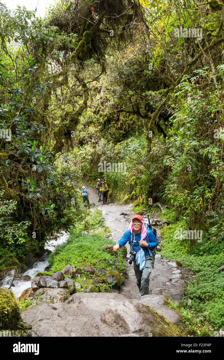Peru, älteren Backpacker Kämpfe beim Wandern durch den Regenwald in der Nähe von toten Frau weitergeben Inka-Trail nach Machu Picchu entlang Stockfoto