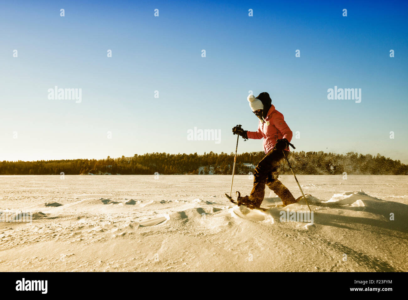 Eine Frau gebündelt in einem rosa Mantel Schneeschuhen über Schnee auf einem Subzero Wintertag an einem sonnigen Tag, Ely, MN, USA Stockfoto