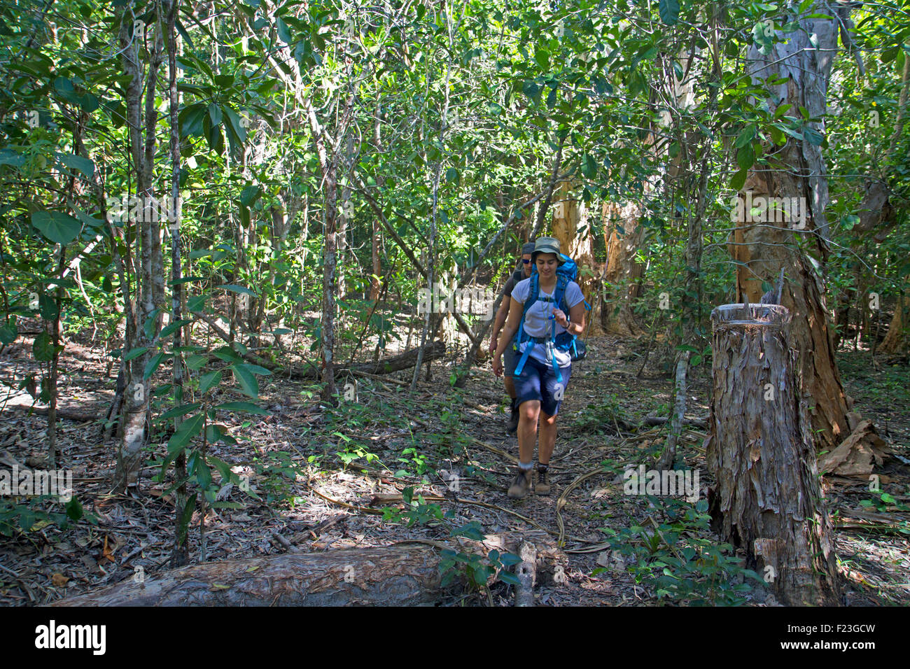 Wanderer auf dem Thorsborne Trail auf Hinchinbrook Island Stockfoto