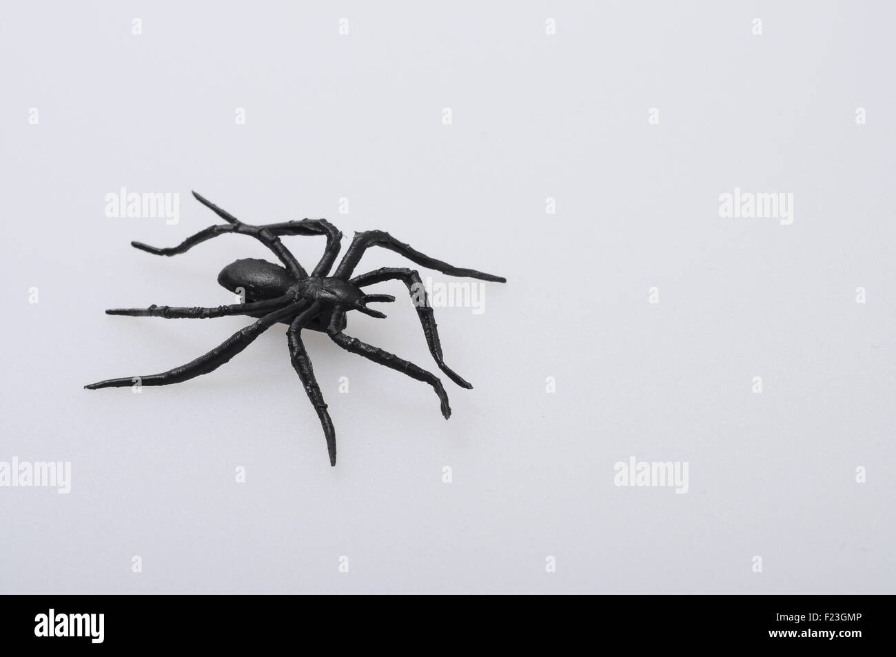 Nahaufnahme von Halloween schwarze Spinne auf hellem Hintergrund Stockfoto