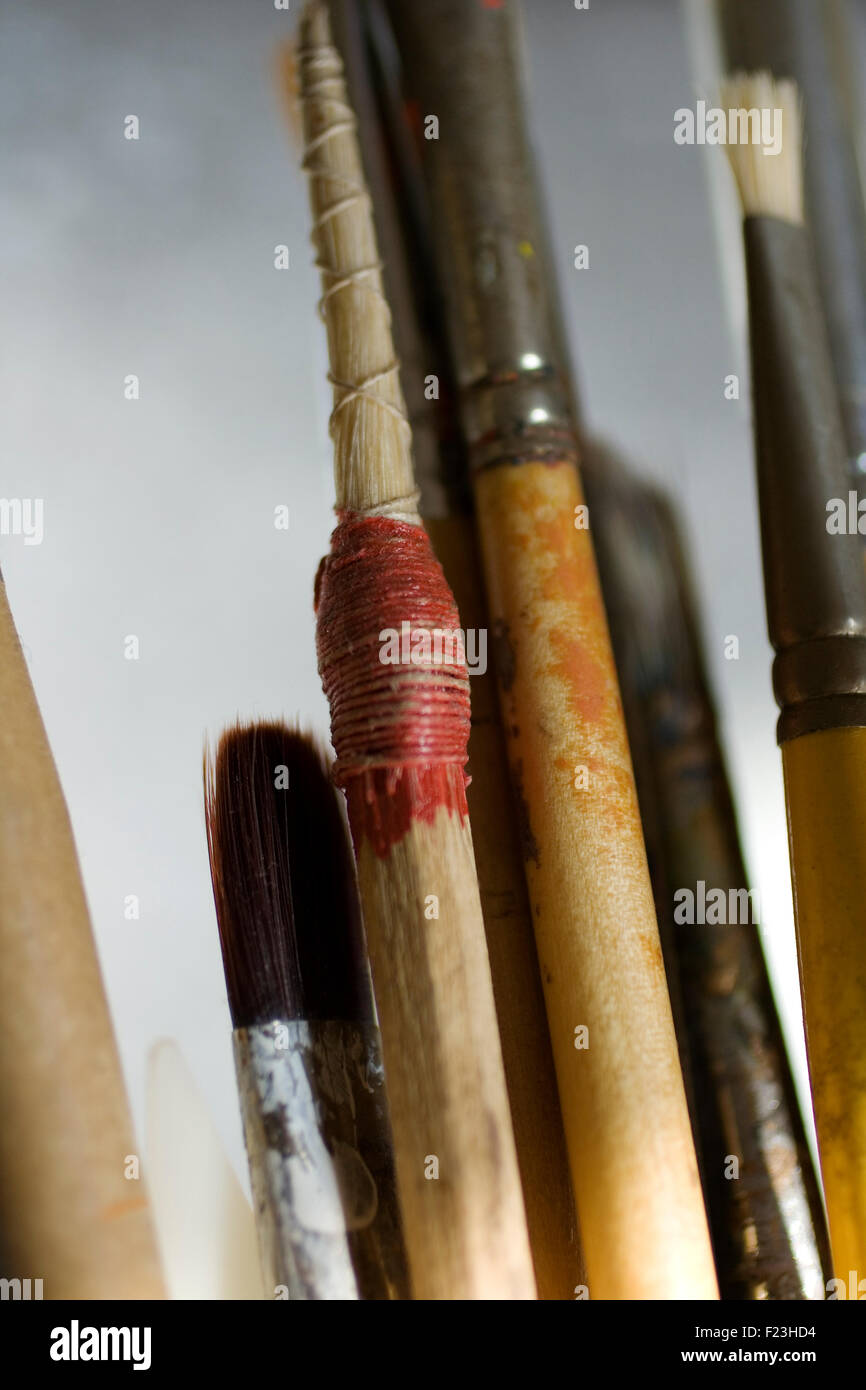 Tiralinee Bolognese und andere Pinsel Stockfoto