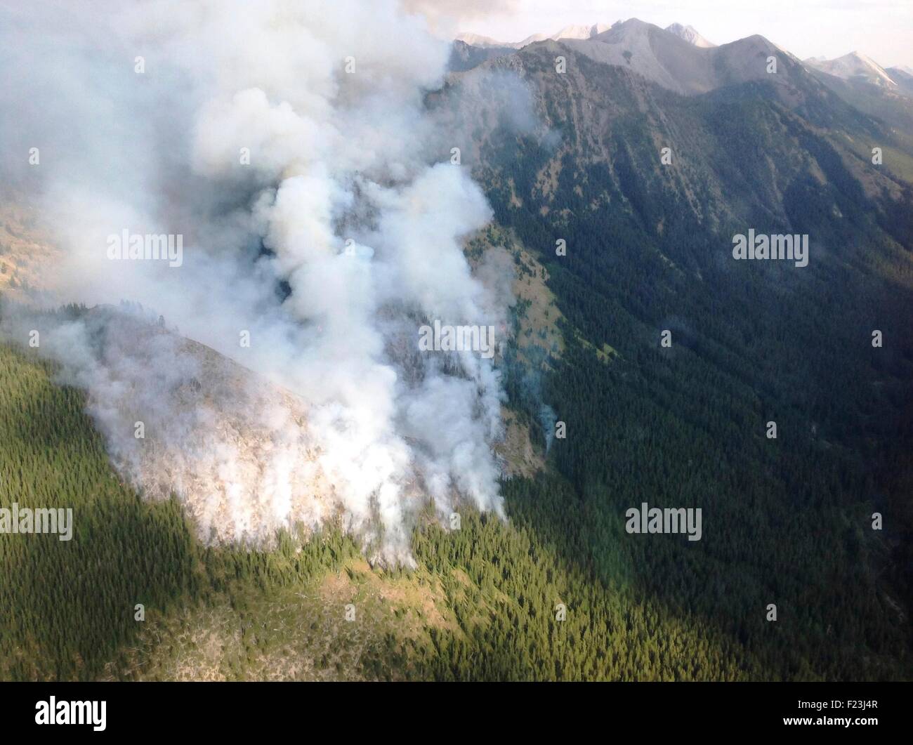 Luftbild von der Spotted Eagle Feuer brennt in der Lewis und Clark National Forest 9. September 2015 in der Nähe von Heart Butte, Montana. Stockfoto