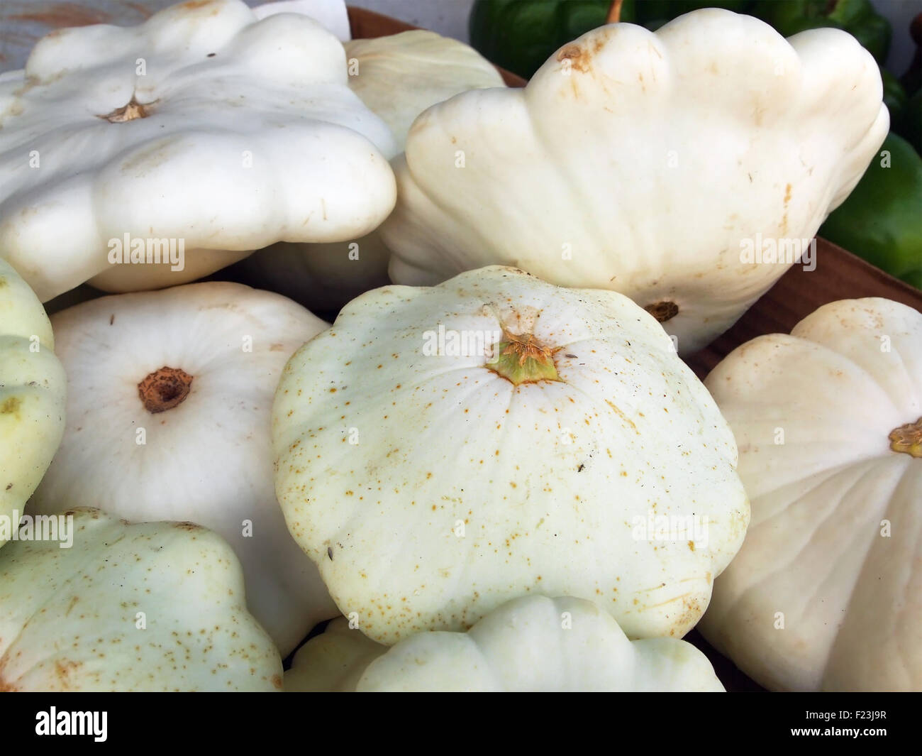 Eine Schachtel mit frisch geernteten weißen Pattypan Squash bei einem örtlichen Bauernmarkt. Stockfoto