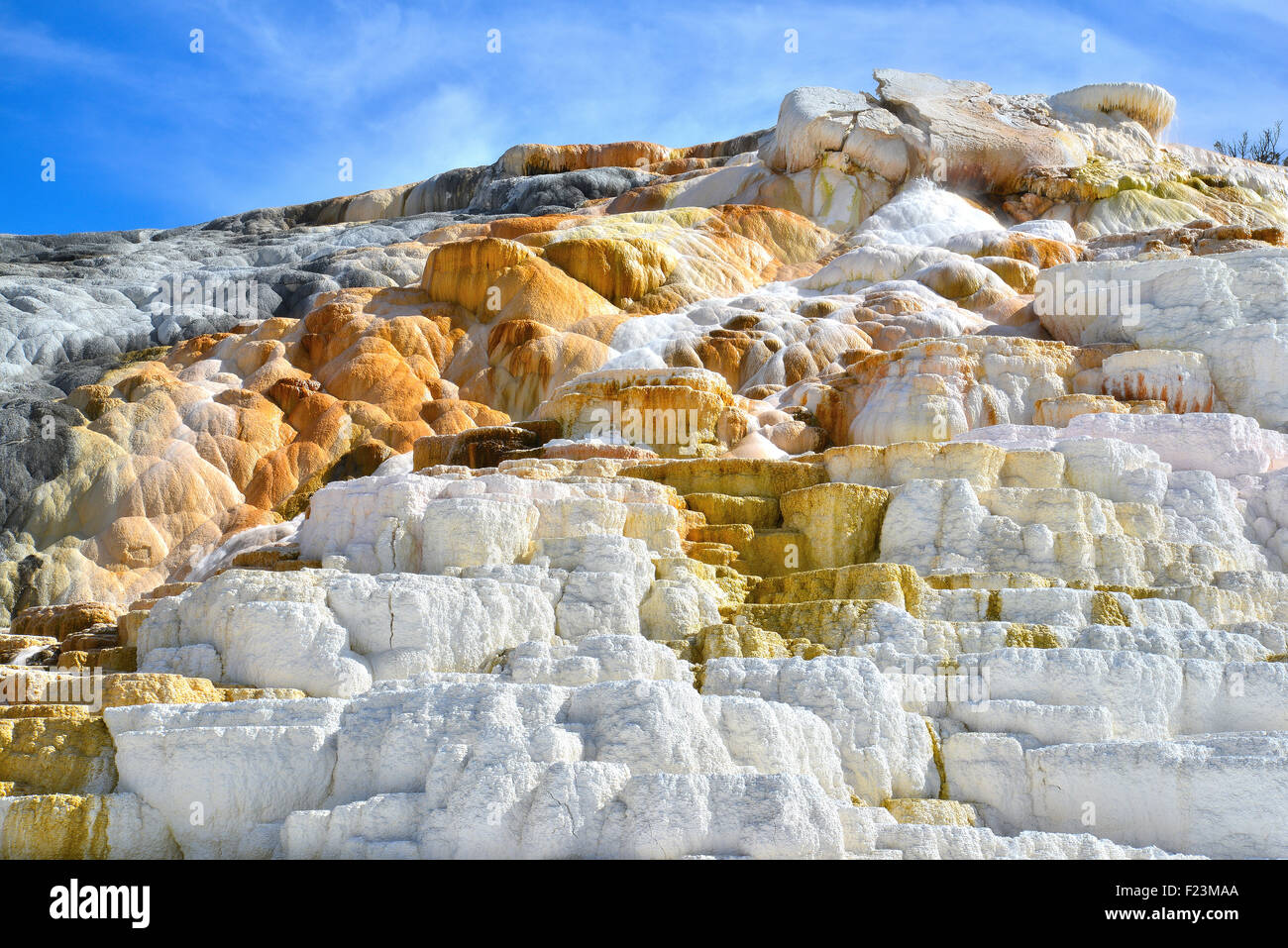 Terrasse-Formationen in Mammoth Hot Springs im nordwestlichen Yellowstone National Park im Nordwesten von Wyoming Stockfoto