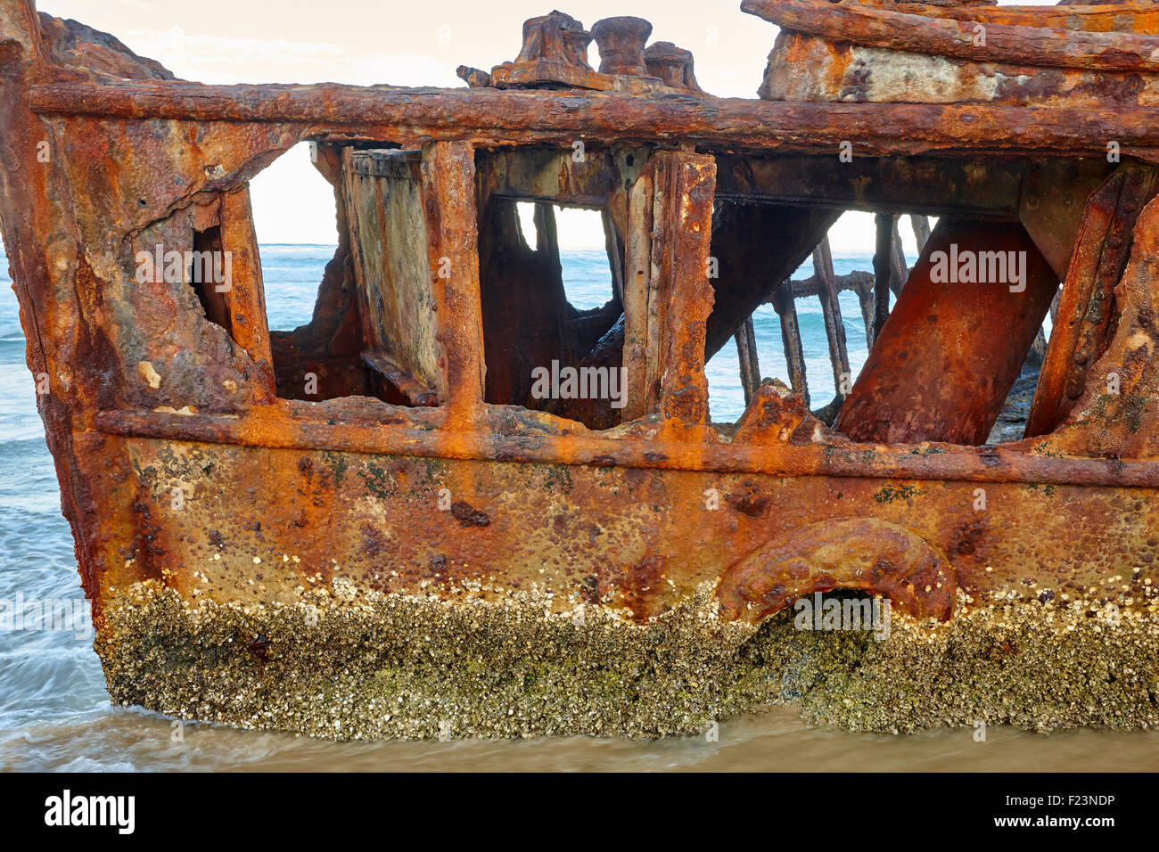 Die Überreste des 400 Meter langen Seeschiffers SS Maheno, der 1935 von einem Zyklon gestrandet wurde, liegen am nach ihr benannten Strand auf K'gari. Stockfoto