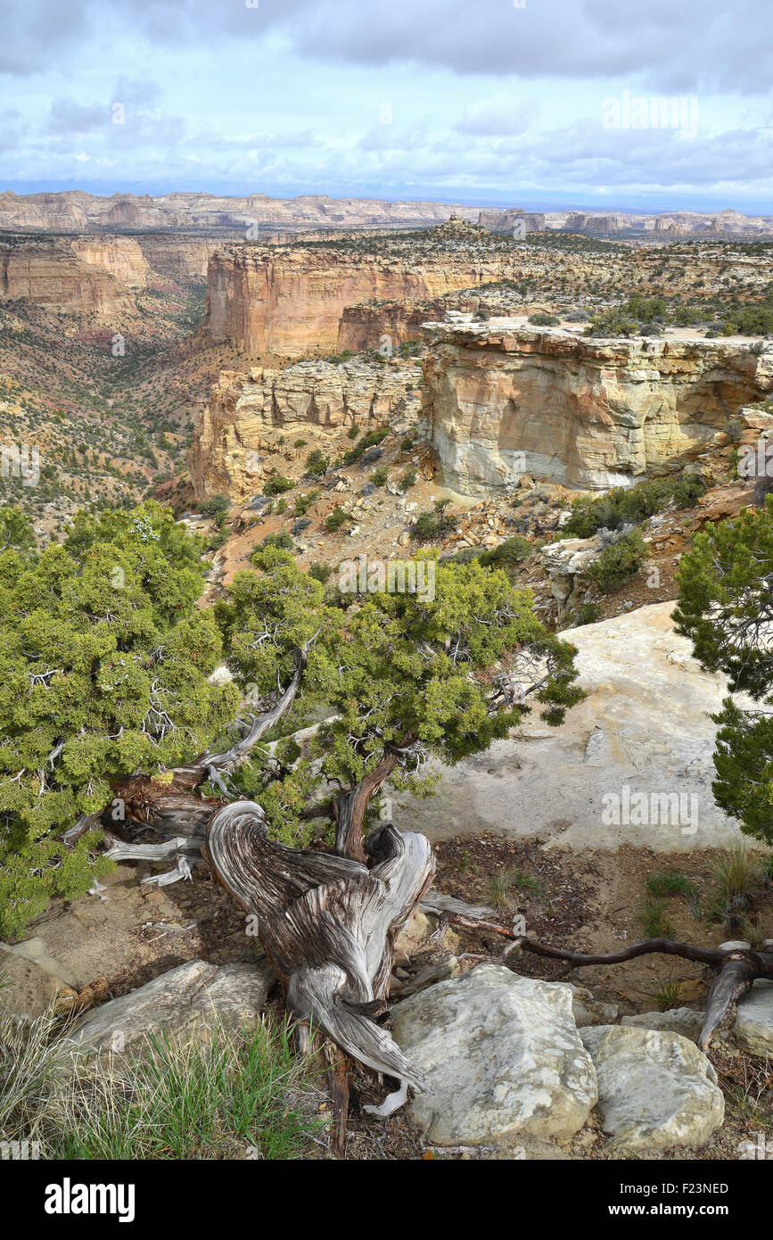 Eagle Canyon von i-70 Rast und blicken auf westlich von Green River, Utah Stockfoto