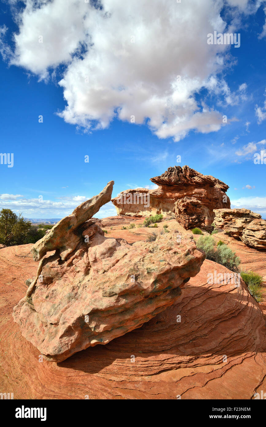 Ausländer, die auf der Suche Felsen entlang Highway 89 in Wasserloch Tribal Park in der Nähe von Page, Arizona Stockfoto