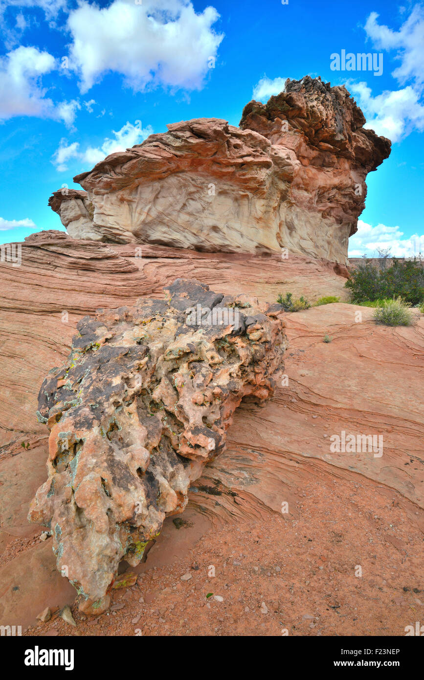Ausländer, die auf der Suche Felsen entlang Highway 89 in Wasserloch Tribal Park in der Nähe von Page, Arizona Stockfoto