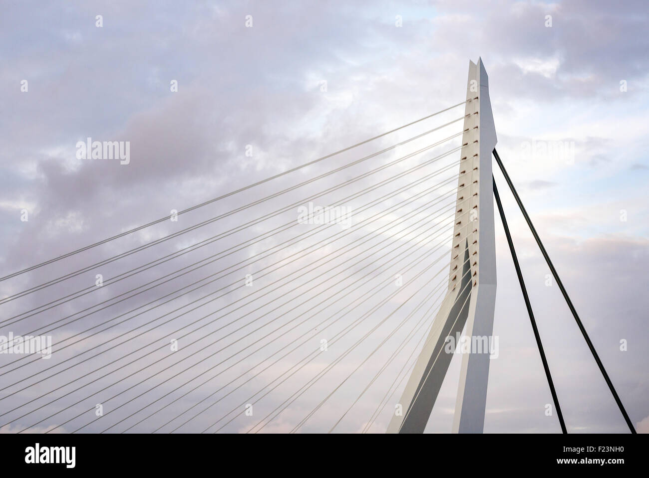 Nahaufnahme der Erasmusbrücke in Rotterdam, Niederlande Stockfoto