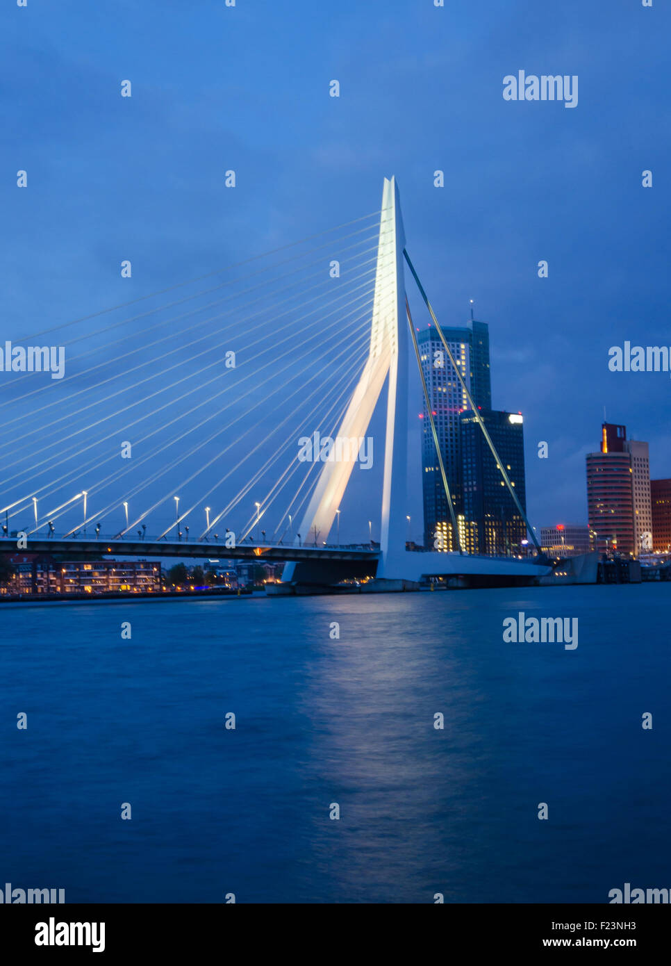 Dämmerung am Erasmusbrücke in Rotterdam, Niederlande Stockfoto