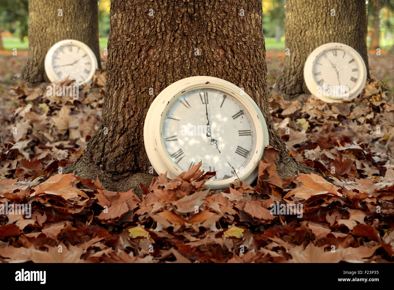 Herbst Zeit Kreativkonzept mit Uhren und Bäume im Herbst Blatt Boden Wald Hintergrund. Ideal für Saison-Kampagne, Bucheinband Stockfoto