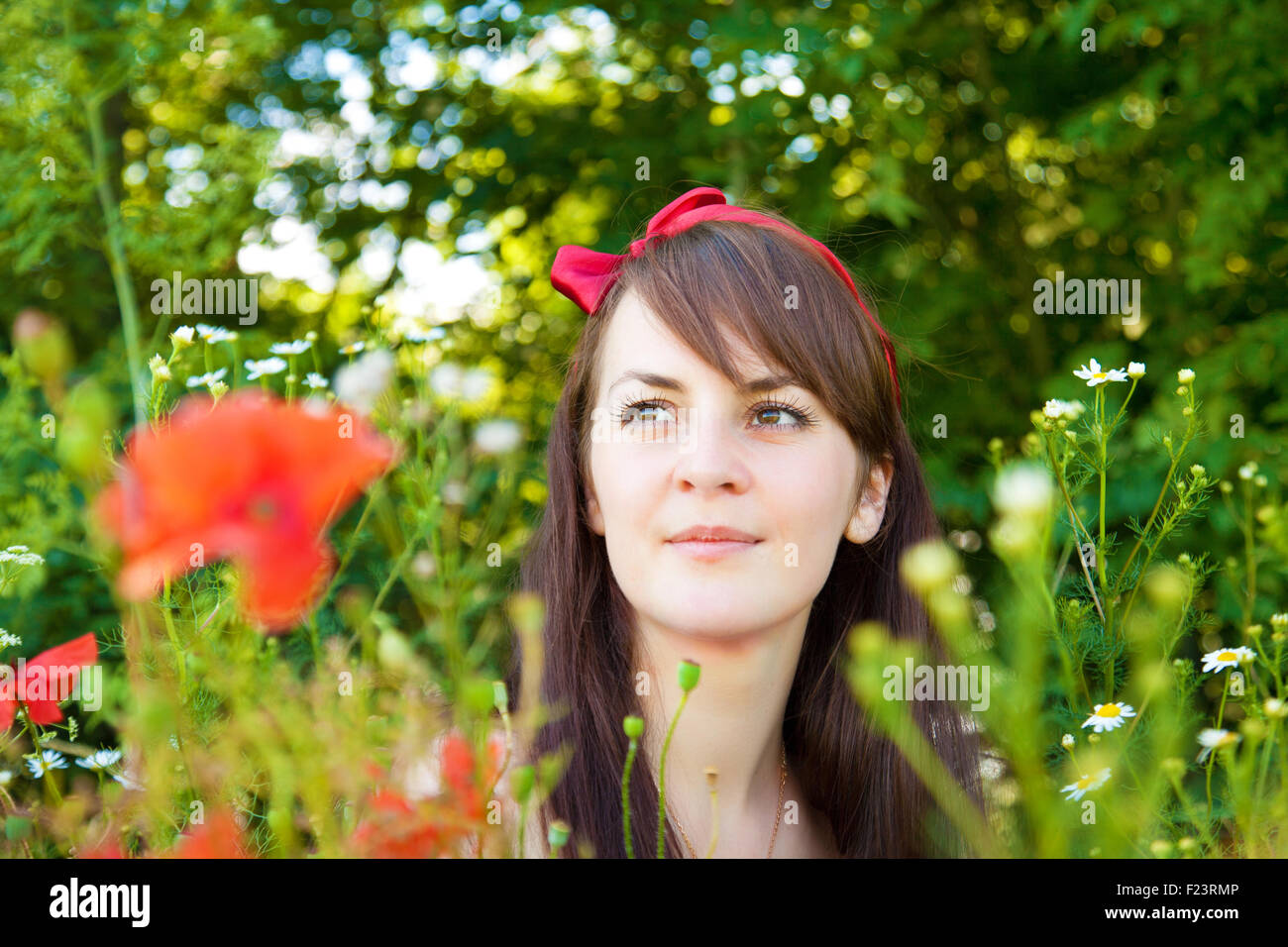 Porträt einer schönen jungen Frau in der Natur an einem sonnigen Sommertag Stockfoto