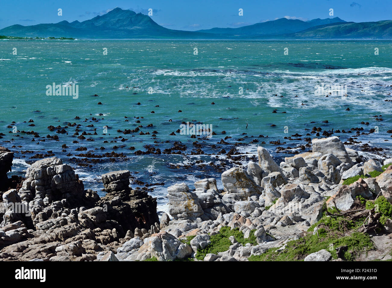 Südafrika, Bettys Bay Marine Schutzgebiet Stockfoto