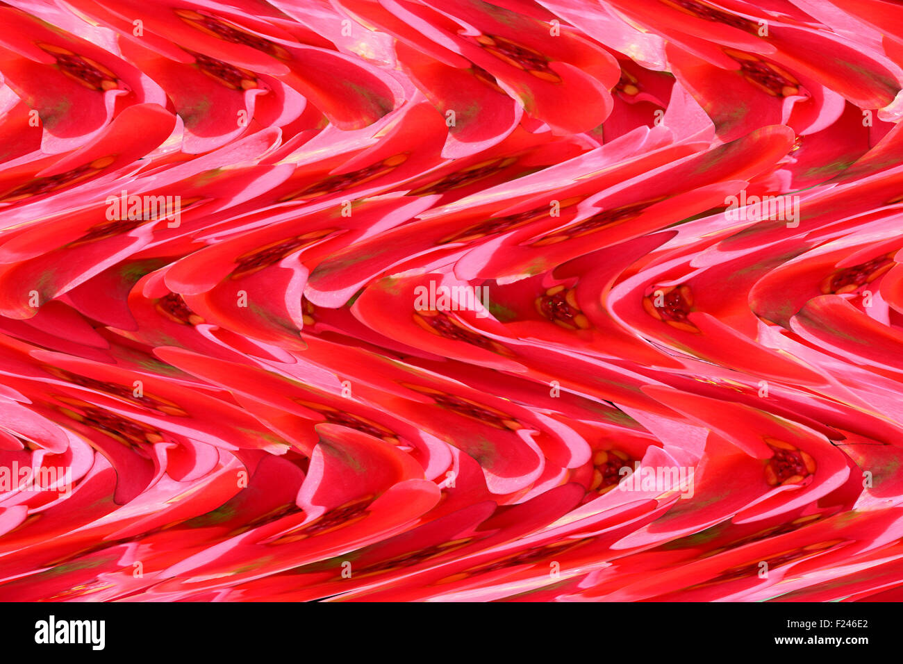 Einer abstrakten Hintergrund rote florales Design im welligen Geplapper. Stockfoto