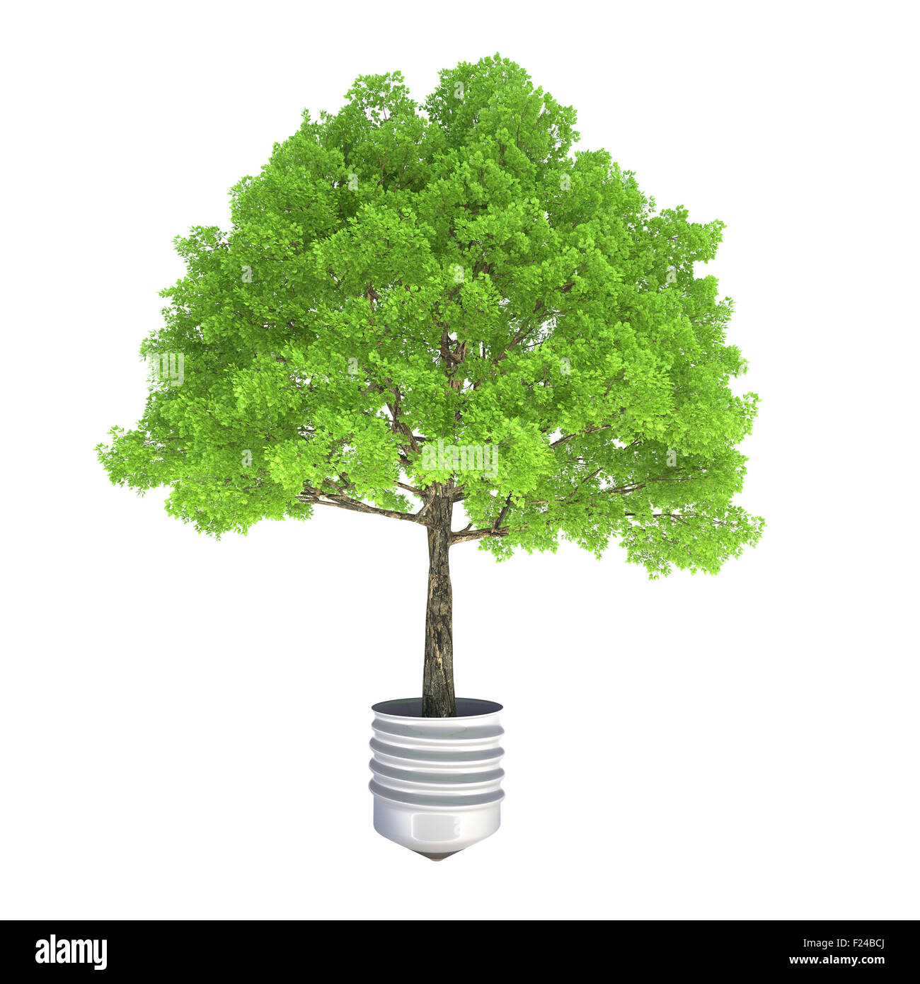 Baum wächst aus einem Metall Lampe Basis Stockfoto