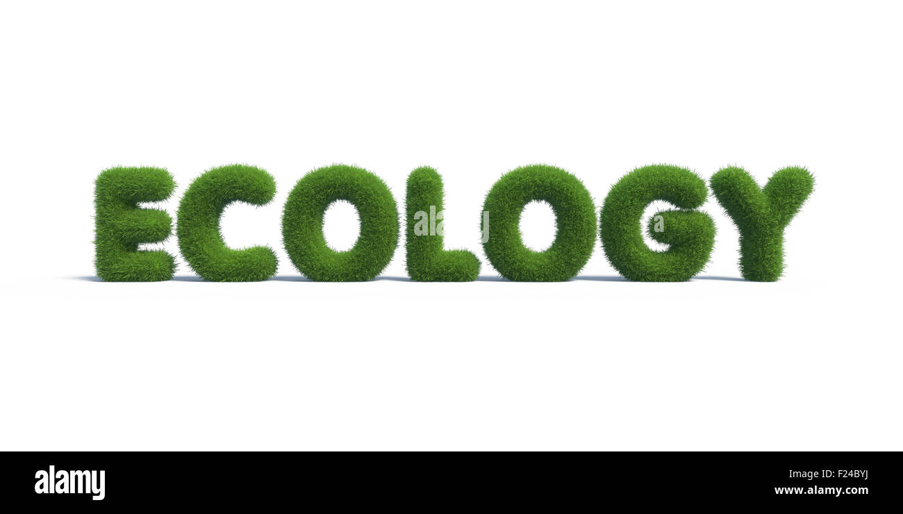 Symbole-Ökologie gemacht von grünem Rasen. 3D render Stockfoto