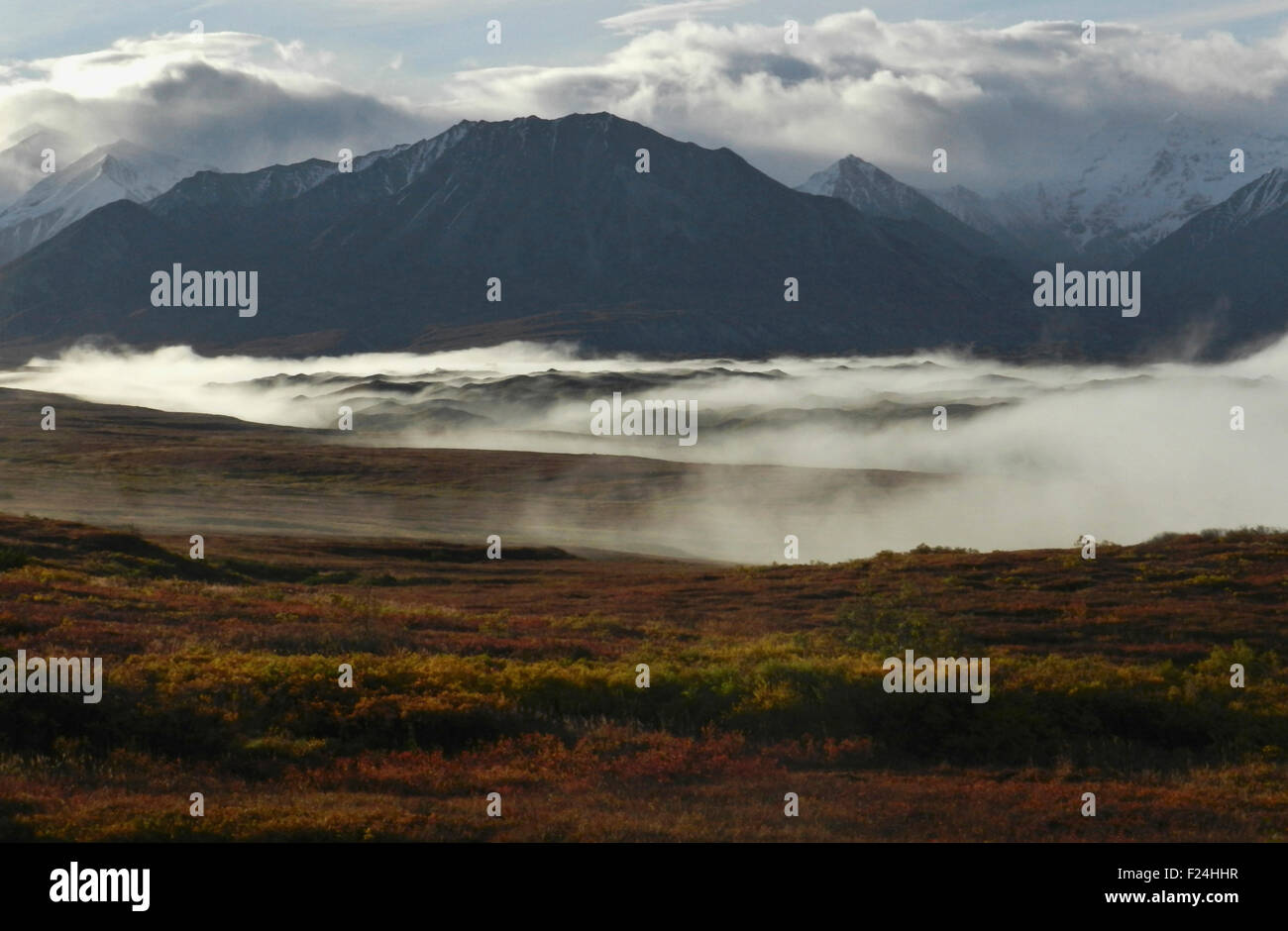 Unterstützt durch die Alaska Range Mountains Nebel deckt die Endstation der Muldrow Glacier und kriecht über die Herbst Tundra Denali Stockfoto