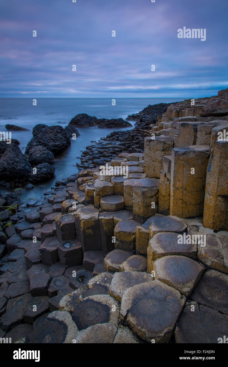 Dämmerung über den Giant's Causeway entlang der Nordküste, County Antrim, Nordirland, Vereinigtes Königreich Stockfoto