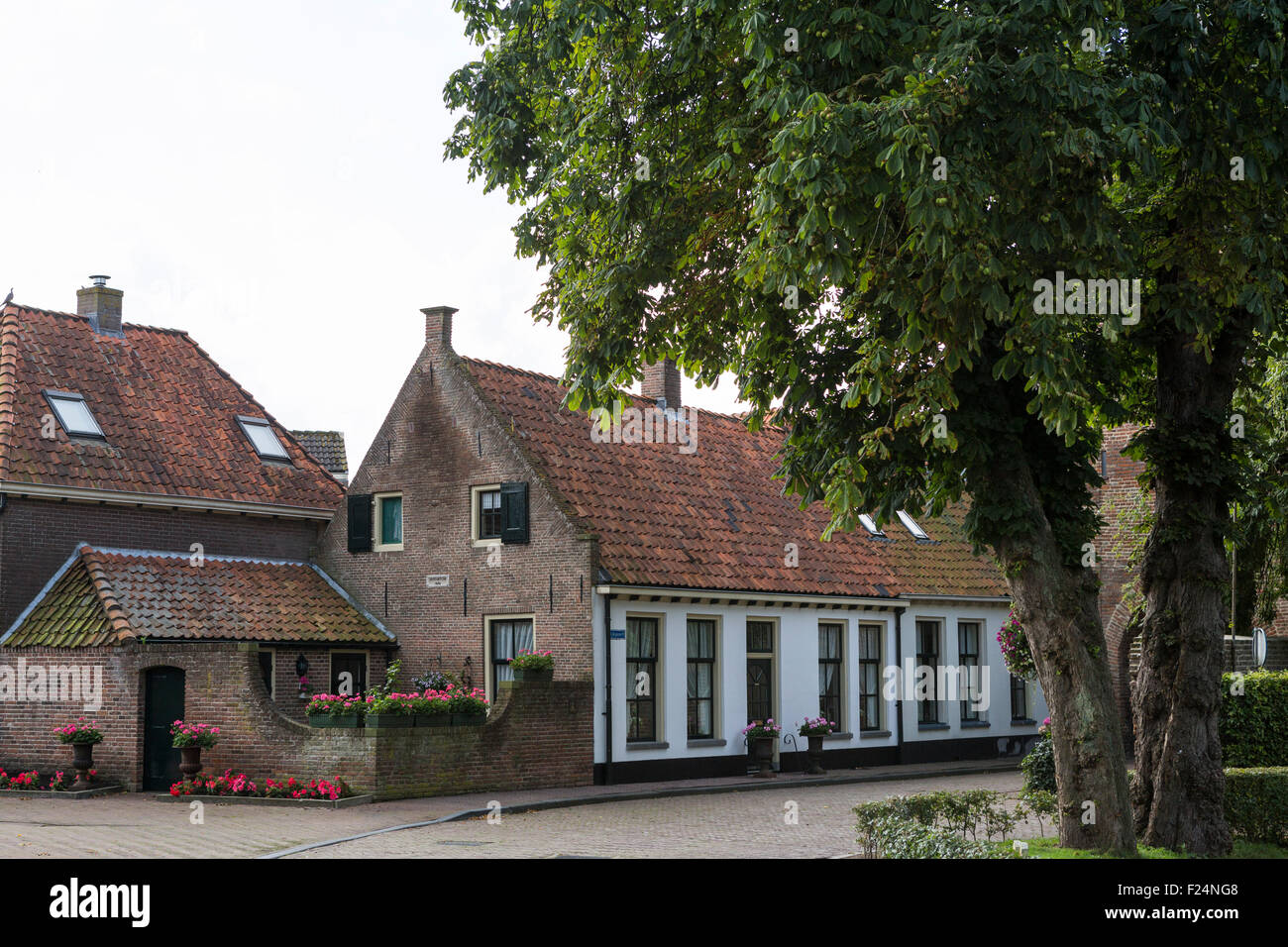 Historische Häuser in der nostalgischen Hansestadt Hattem in den Niederlanden mit Kastanie vor Stockfoto