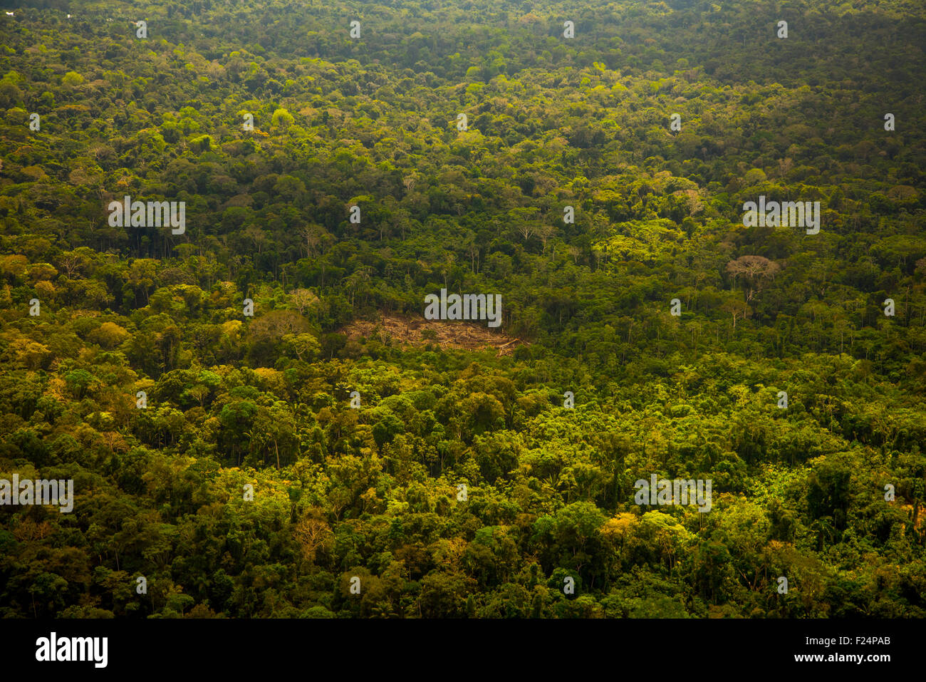 Regenwald Antenne, sekundäre Wald- und Landnutzung für kleinbäuerliche Landwirtschaft in das traditionelle nachhaltige "Chacra" System gelöscht Stockfoto