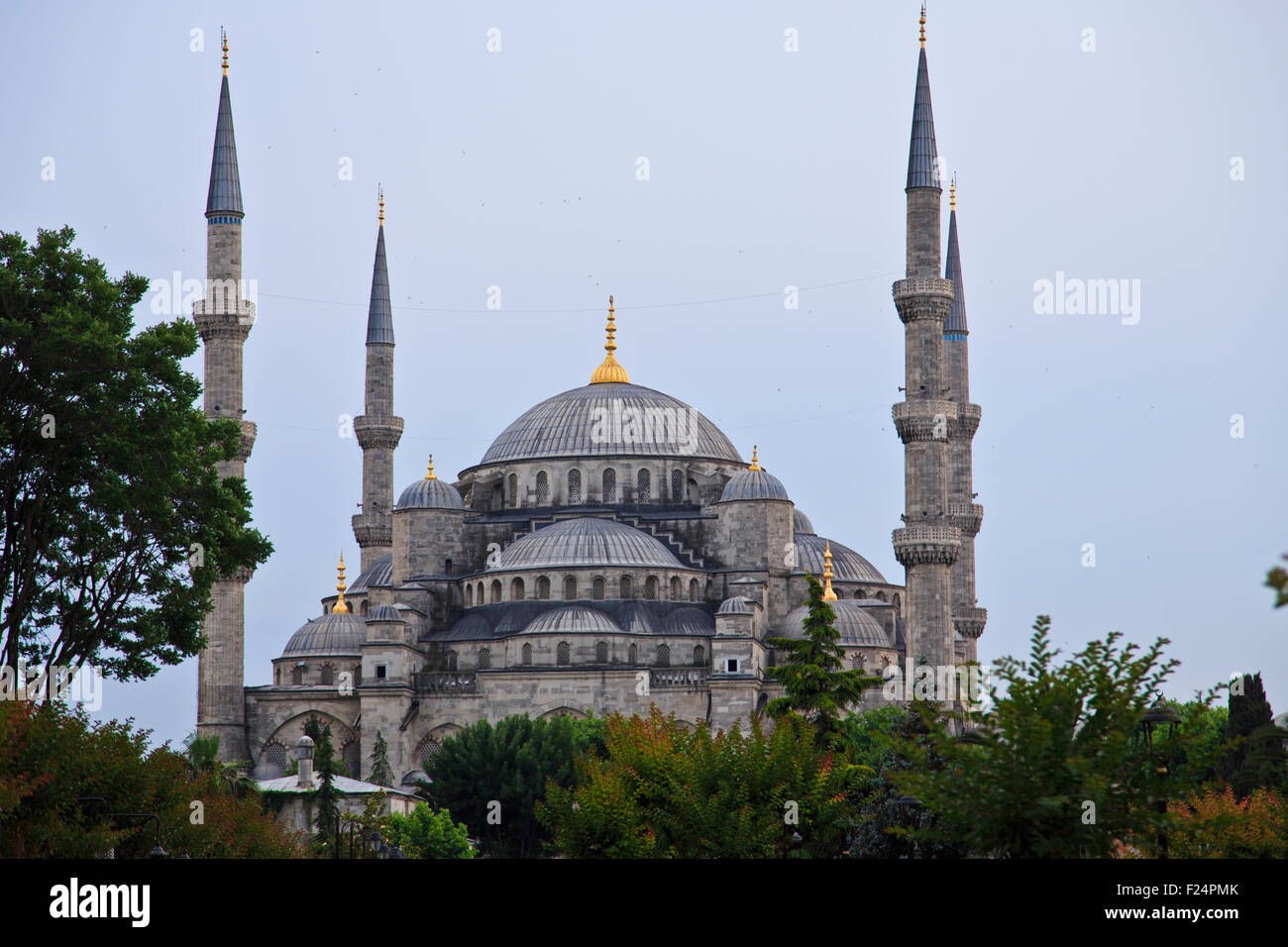 Die blaue Moschee in Istanbul, Türkei Stockfoto